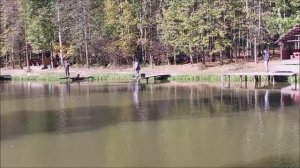 Рыбалка на верхнем водоёме. Клёвое место, Лосиный остров.