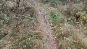 Лëгкая прогулка под музыку