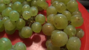 МУКБАНГ : ВИНОГРАД  люблю   с детства.    ПОДПИШИСЬ