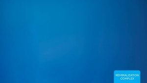 Как выбрать зубную пасту в 2025 году: советы от российского производителя