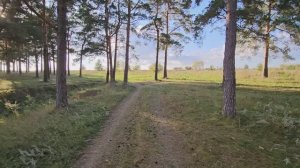 Лес очистные Лебедянь 2025