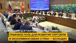 Комиссия ГД и парламента Вьетнама создаёт правовое поле для развития экономики обеих стран