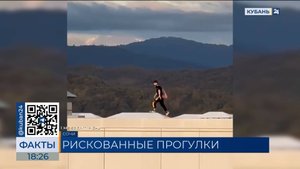 На бегающих по крышам многоэтажки детей пожаловались жители Сочи