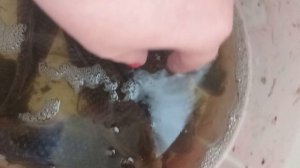 #караси