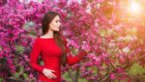 Elsen Pro - Dayanman