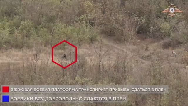 ❗️🇷🇺🇺🇦🏳️⚡️Украинские военнослужащие сдаются в плен в районе Клебан-Быка