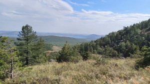 Гора Северная Кусимовка (Россия, Башкортостан), 05.09.2025г.