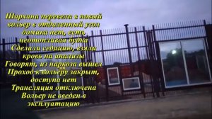 Шархана с помощью седации превели в новый вольер и взяли анализы. Трансляции нет. 30.09.2025 Видео о