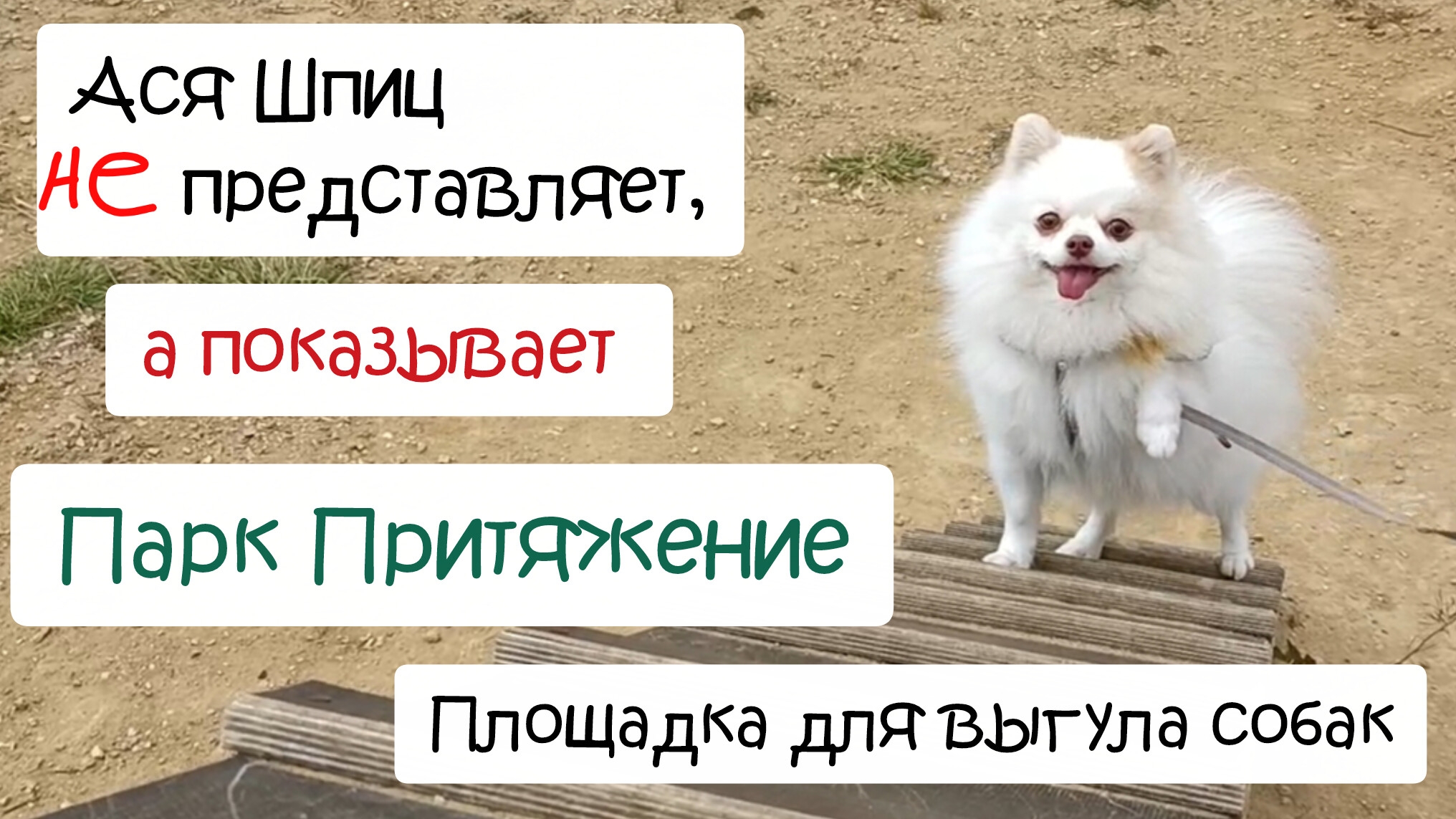 Парк Притяжение Магнитогорск. Площадка для выгула собак смотреть онлайн