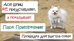 Парк Притяжение Магнитогорск. Площадка для выгула собак
