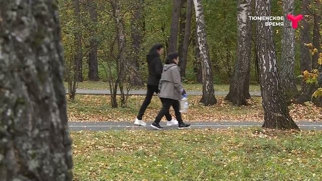 Тюменская городская дума: преемственность и развитие