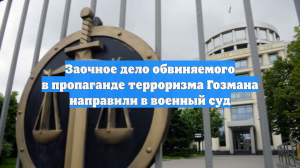 Заочное дело обвиняемого в пропаганде терроризма Гозмана направили в военный суд