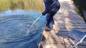 Форелька не даёт скучать