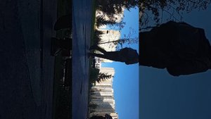 просто гоняем