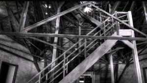 2025 Вюнсдорф