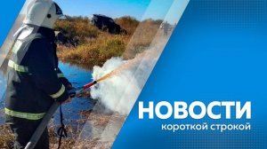 Новости короткой строкой 30.09.25