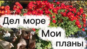 Осенние работы в саду. Мои планы.