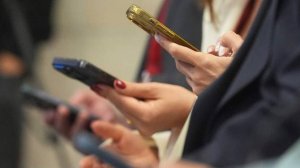 В России готовятся запустить страхование от утечек персональных данных