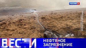 Вести Санкт-Петербург. Выпуск 11.30 от 30.09.2025