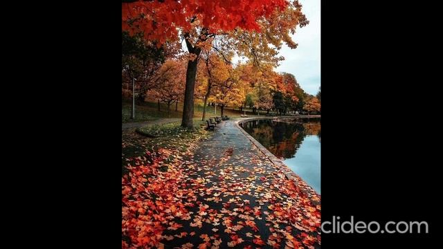 1622784409-11-pibig-info-p-krasota-oseni-priroda-krasivo-foto-11_ljUSmNZ1 смотреть онлайн