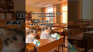 пов: мой обычный день понедельник