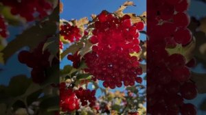 Увы, сентябрь подходит к концу