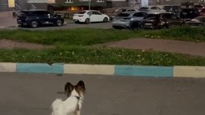 Осмотрел район