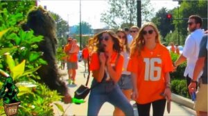 BUSHMAN SCARE PRANK AT TWO FOOTBALL GAMES