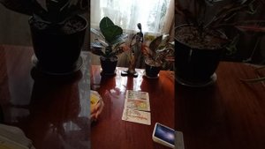 Таро.Впустите в свою жизнь.