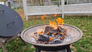 Осенние бровки. Слила уличный водопровод. Коллекция кочерёг.