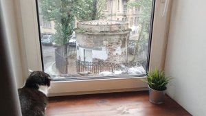 VID_20250928_090601.mp4