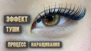Процесс наращивания эффекта туши