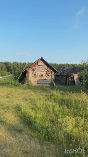 На пасеке