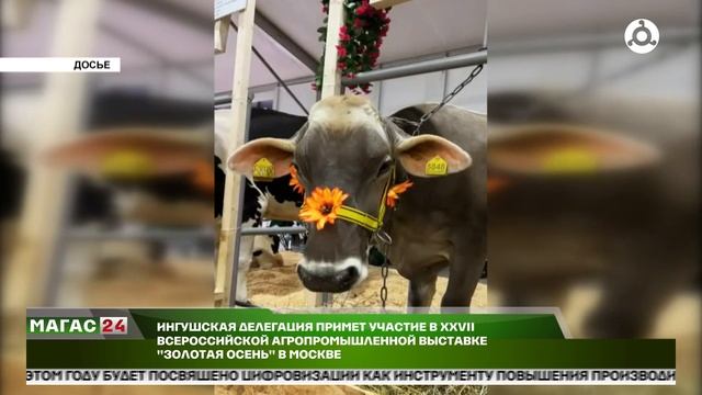 Дайджест новостей 30.09.2025 г.