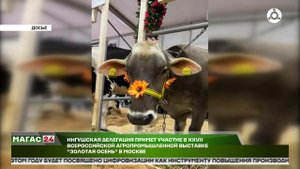 Дайджест новостей 30.09.2025 г.