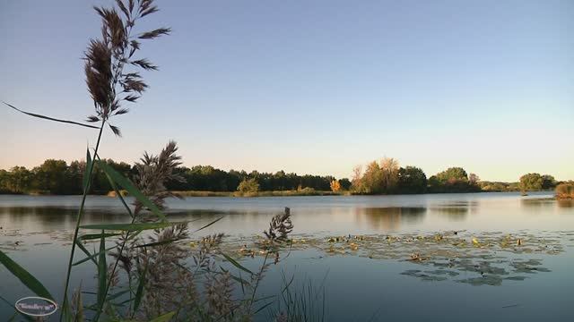 г Сызрань "без прикрас" п. Обшаровка ,(3) левая сторона Волги , протоки , луга . Восход на реке . смотреть онлайн