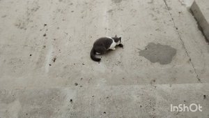 Осенний день во всей красе. Жизнь на юге.