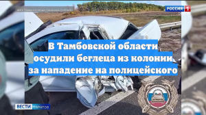 В Тамбовской области осудили беглеца из колонии за нападение на полицейского