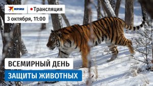 Всемирный день защиты животных