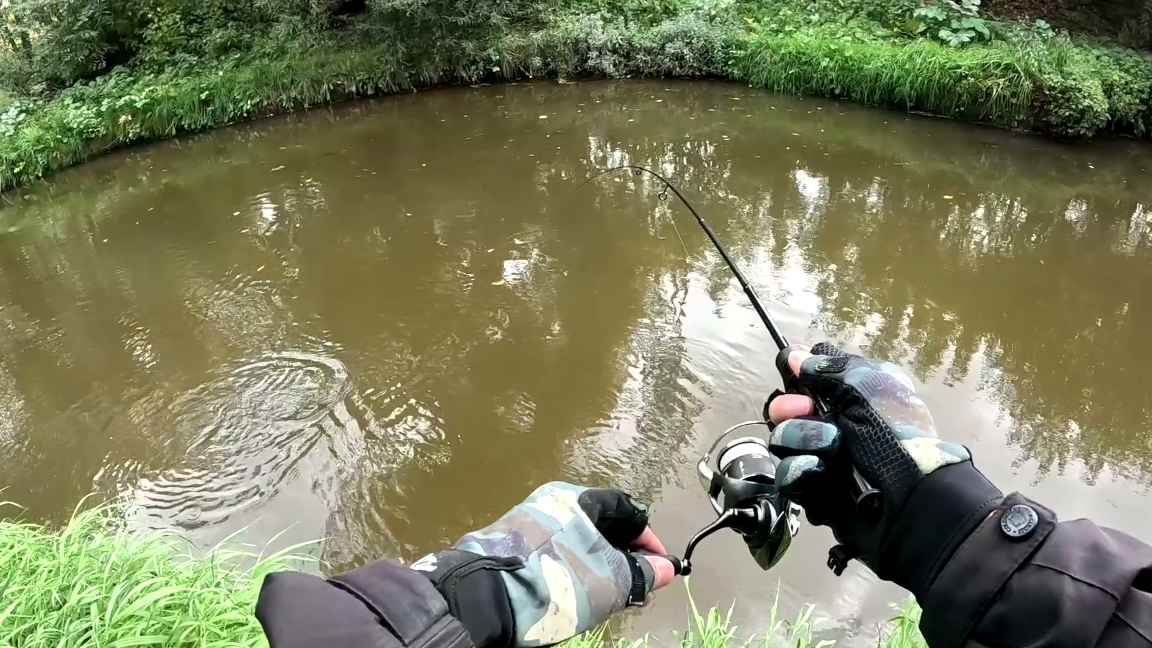 Бонус не в Зачет. смотреть онлайн