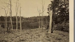 Масштаб подмены истории ПОРАЖАЕТ