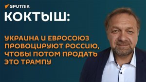 Коктыш: Украина и ЕС провоцируют Россию, чтобы потом продать это Трампу