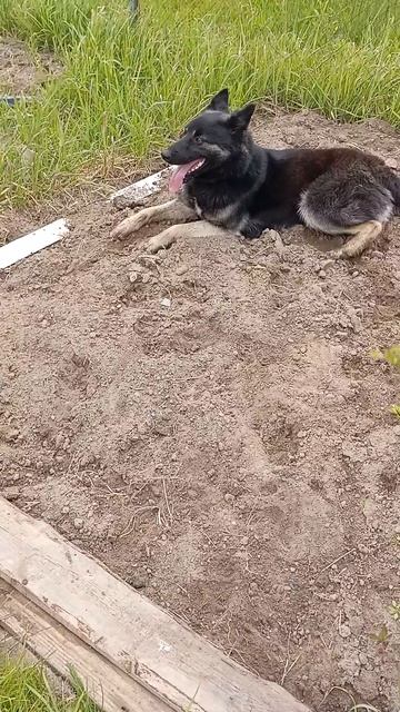 поймал мысль смотреть онлайн