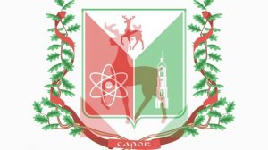 Дарья Донченко | ТОЧКА.РФ – МЕСТО | г. Саров