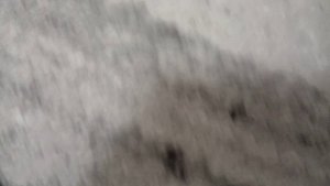 КАК СЛОМАТЬ КОРОБОЧКУ КОНФЕТ SCANDIC ЗА 1 МИНУТУ