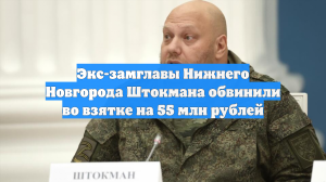 Экс-замглавы Нижнего Новгорода Штокмана обвинили во взятке на 55 млн рублей