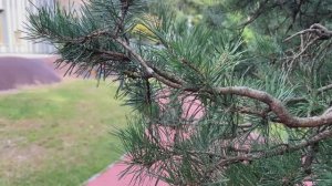 Геопластика от «Новалур»