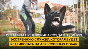 Останина предложила создать единую экстренную службу, которая будет реагировать на агрессивных собак