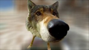 МАЙНКРАФТ ВЫЖИВАНИЕ В ХАРДКОРЕ 2 ЧАСТЬ!