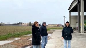 Что скрывает завод зерносушилок Fratelli Pedrotti